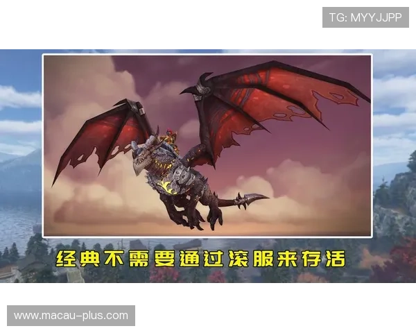 永乐高电脑版官网用户评价与反馈，了解玩家真实体验与游戏优化建议